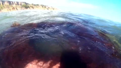 A guy films a half-sunken object in the water in summer. Stock Footage 337426553