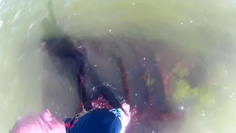 A guy films a half-sunken object in the water. Stock Footage 337426661