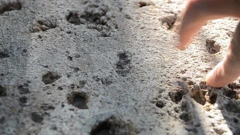 Guy fingers walks on a stone Stock Footage 95556424
