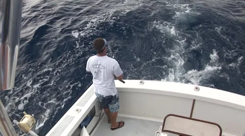 Guy Fishing from back of Boat Stock Footage 5235211