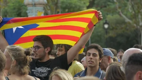 Guy with a Flag in a demonstration in Arc de Triomf Stock Footage 80255600