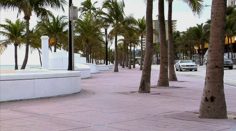 Guy at a Florida Beach Stock Footage 377267