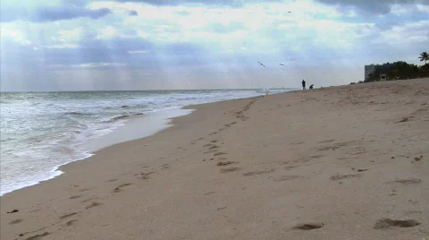 Guy at a Florida Beach Stock Footage 377277