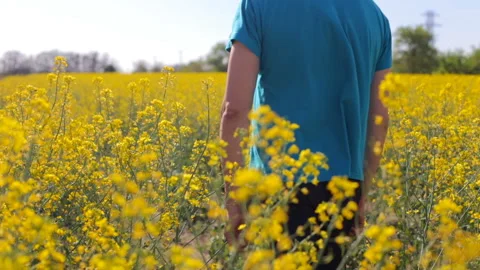 The guy on the flower field Stock Footage 93352233