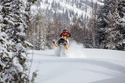 The guy is flying and jumping on a snowmobile on a background of winter forest Stock Photos