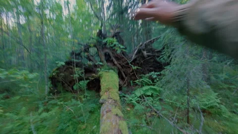 A guy in the forest climbs and jumps from fallen trees at high speed. Stock Footage 342002010