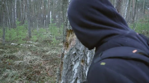 The guy in the forest examines the holes in the tree Stock Footage 231716037