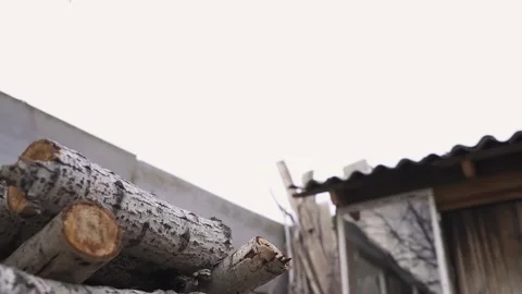 Guy in the gasmask is gaining the wood to be cut. view across the Board Stock Footage 130524208
