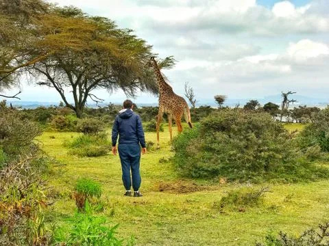 Guy with a giraffe Foto stock