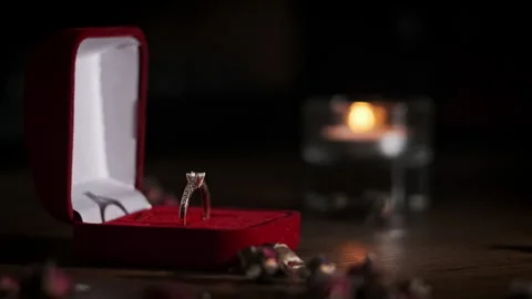 Guy Gives an Engagement Ring to His Bride Stock Footage 255538515