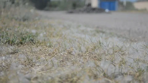 The guy goes to the forest, the lower angle Stock Footage 111669955