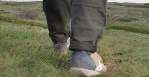 The guy goes on a hike. walking in the grass, trip to the mountains, Stock Footage 166399450