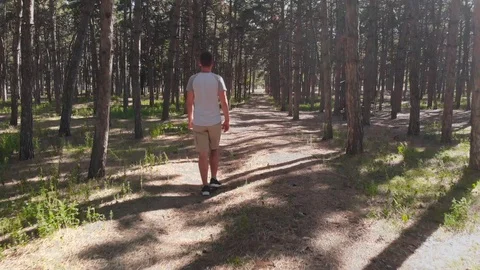 The guy goes through the forest Stock Footage 115899408