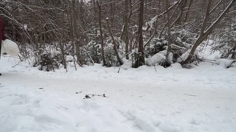 The guy goes to the water at the artesian source. Great day for a walk. He took  Stock Footage 99632804