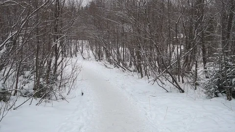 The guy goes for water at the artesian spring. It's cold outside. He took with h Stock Footage 99632766