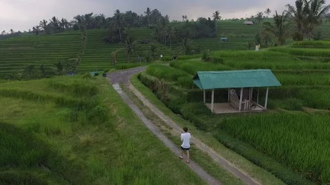 Guy going on road in Bali. Rice fields Stock Footage 98936880