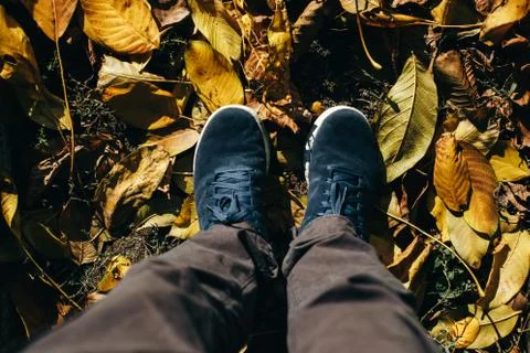 A guy in gray pants and blue suede shoes is standing on the ground covered with Stock-Fotos