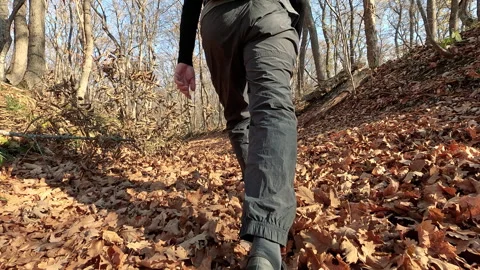 A guy in gray sweatpants walks through the leaves in the autumn forest 動画素材 256797301
