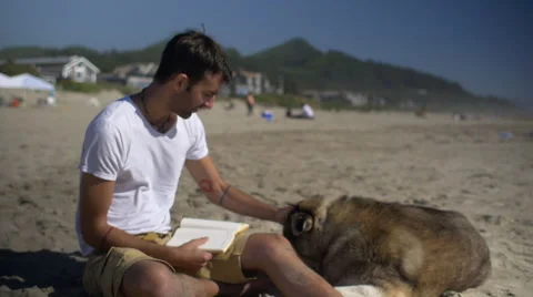 Guy hangs out with his dog at the beach Stock Footage 54054106