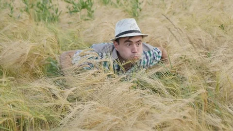Guy in the Hat Swims on the Wheat Field Stock Footage 87587261