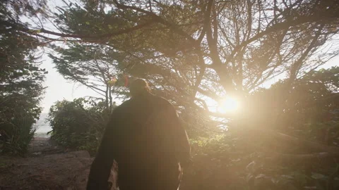 Guy hiking to viewpoint through lush forest during sunset by the ocean 库存影片 206470035