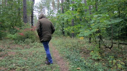 A guy in a hood walks through the forest, a man is lost in the woods Stock Footage 93566632