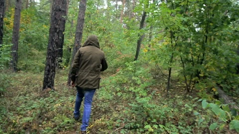 A guy in a hood walks through the forest, a man is lost in the woods Stock Footage 93569152
