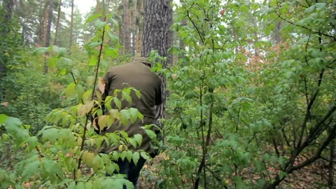 A guy in a hood walks through the forest, a man is lost in the woods Video stock 93569357