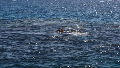 Guy with an instructor dives after diving in the red sea Stock Footage 105686255