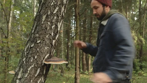 A guy knocks on a tree. Represents playing drums Stock Footage 118014063