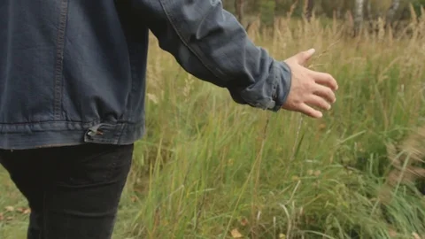 The guy leads his hand through the grass. Man walks in nature Stock Footage 118014211
