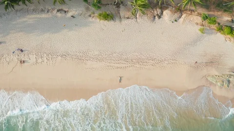 The guy lies on a sandy beach on a tropical island. Drone view Video stock 106042528
