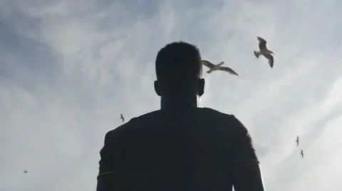 Guy looking at the birds in the sky 02 Видео 67556126