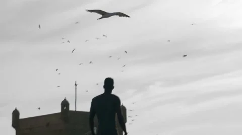 Guy looking at the birds in the sky 04 Video stock 67556150