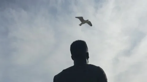 Guy looking at the birds in the sky 05 Video stock 67556152