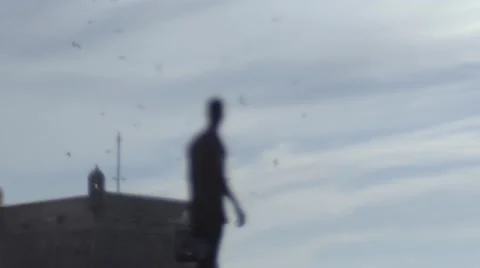 Guy Looking At The Birds In The Sky 06 Video stock 67522825