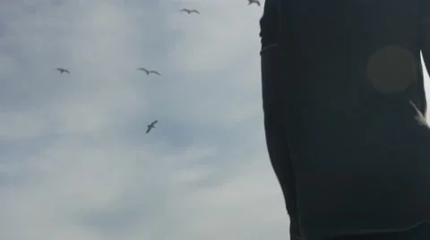 Guy looking at the birds in the sky 09 Video stock 67556114