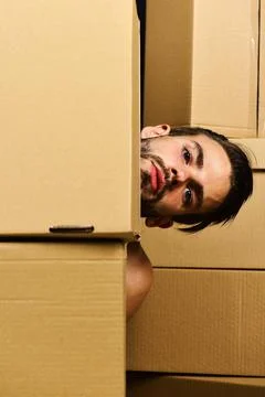 Guy looking out from pile of boxes Stock Photos