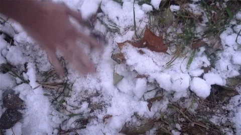 The guy lost the keys and finds them in the snow Stock Footage 82733232