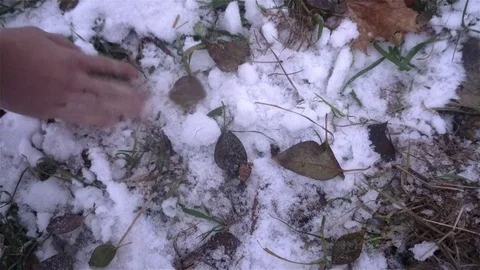 The guy lost the keys and finds them in the snow Stock Footage 82733369