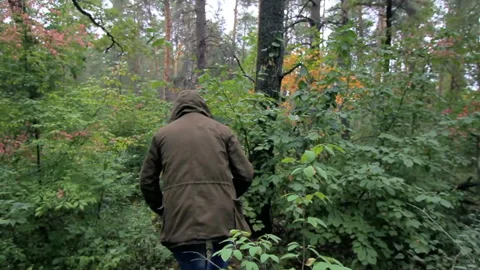 The guy is lost in the woods Video stock 93568580