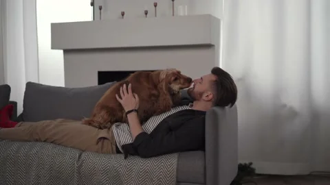 The guy lying on the couch petting his dog Stock Footage 169048637