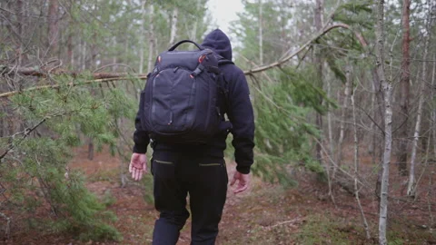 The guy makes his way through the trees in the forest Stock Footage 231717130
