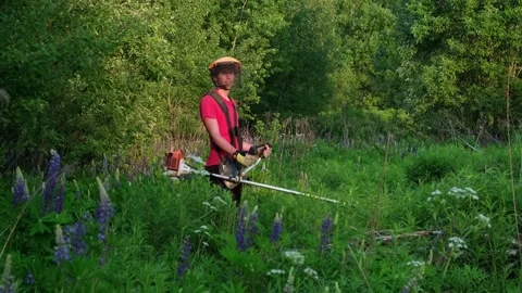 A guy mows the grass with a lawnmower, a man mows large bushes with a trimmer Stock Footage 250005029