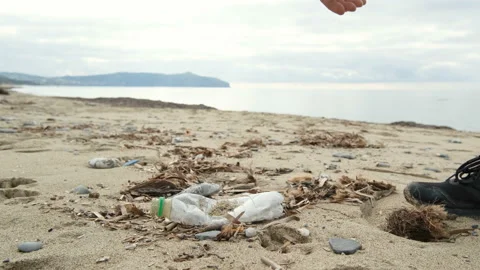 Guy pick up plastic bottle from dirty sea ecosystem,environment wate pollution Stock Footage 230738074