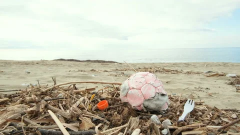 Guy pick plastic used ball trash from dirty sea ecosystem,environment pollution Stock Footage 230736391