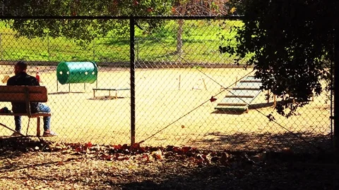 Guy Playing and Throwing ball with his Dog in the Dog Park that is Gated. Stock Footage 85458799