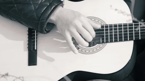The guy playing the guitar in nature (b&amp;w) Stock Footage 73995526