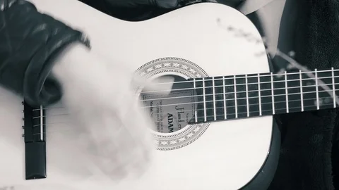 The guy playing the guitar in nature (b&amp;w) Stock Footage 73996423