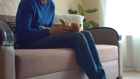 Guy playing with red kitten at home Video stock 107842497